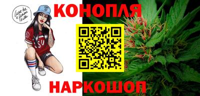 крисы Владикавказ