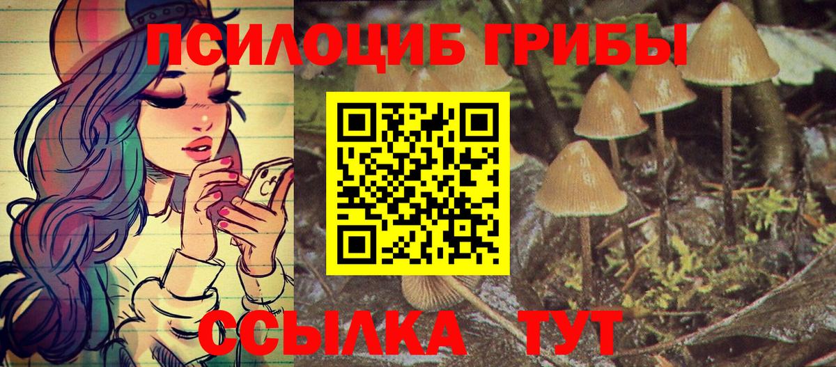 Выкса  Псилоцибиновые грибы MAGIC MUSHROOMS  Вход с VPN 