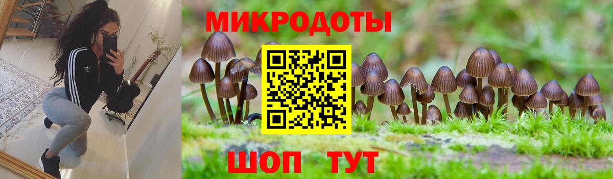 Псилоцибиновые грибы ЛСД Выкса